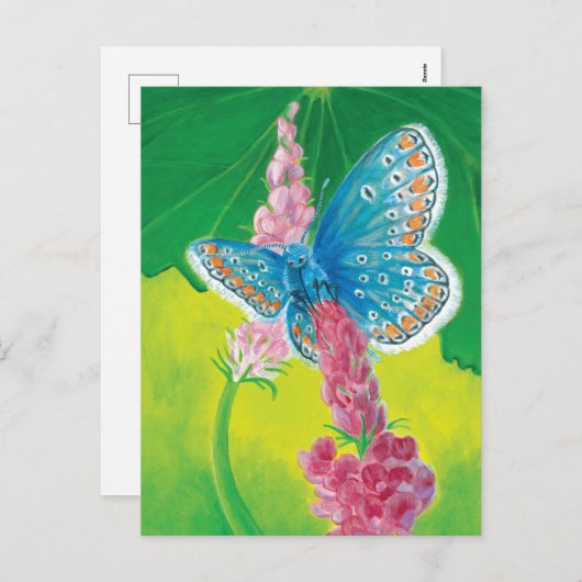 Cartes Pour Fêtes Annuelles Papillon bleu de Chapmans (thersites en polyommatu (Devant / Derrière)