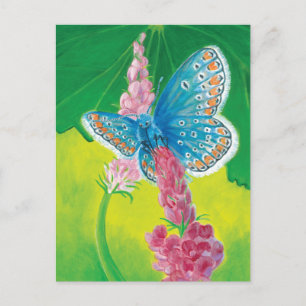 Cartes Pour Fêtes Annuelles Papillon bleu de Chapmans (thersites en polyommatu