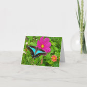 Cartes Pour Fêtes Annuelles Papillon bleu triangle sur fleur cosmos (Devant)