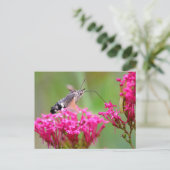 Cartes Pour Fêtes Annuelles Papillon-mouche à colibri en vol (Debout devant)