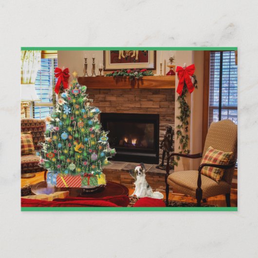 Cartes Pour Fêtes Annuelles Papillon Père Noël (Devant)