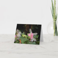 Papillons jaunes sur Feuilles tropicaux avec fleur