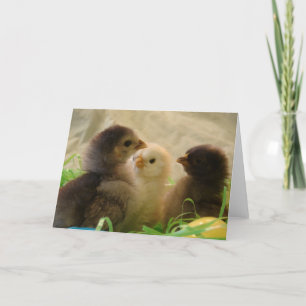 Cartes Pour Fêtes Annuelles Pâques