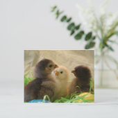 Cartes Pour Fêtes Annuelles Pâques (Debout devant)