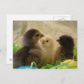 Cartes Pour Fêtes Annuelles Pâques (Devant / Derrière)