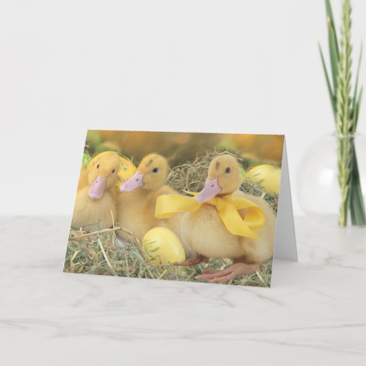 Cartes Pour Fêtes Annuelles Pâques (Devant)