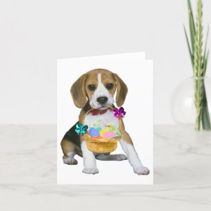 Cartes Pour Fêtes Annuelles Pâques beagle