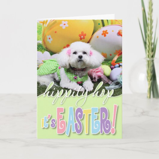 Cartes Pour Fêtes Annuelles Pâques - Bichon Frise - Mia (Devant)