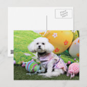 Cartes Pour Fêtes Annuelles Pâques - Bichon Frise - Mia (Devant / Derrière)