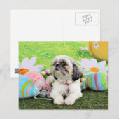 Cartes Pour Fêtes Annuelles Pâques - Chih Tzu - Sophie (Devant / Derrière)