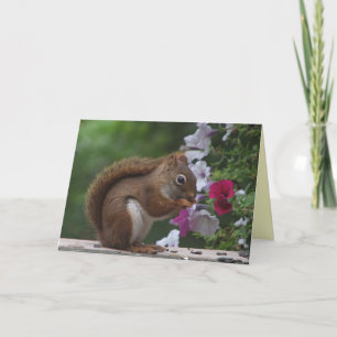Cartes Pour Fêtes Annuelles Pâques de l'écureuil rouge
