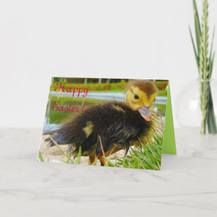 Cartes Pour Fêtes Annuelles Pâques II