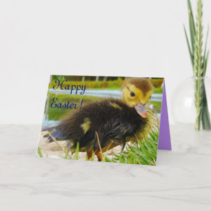 Cartes Pour Fêtes Annuelles Pâques III