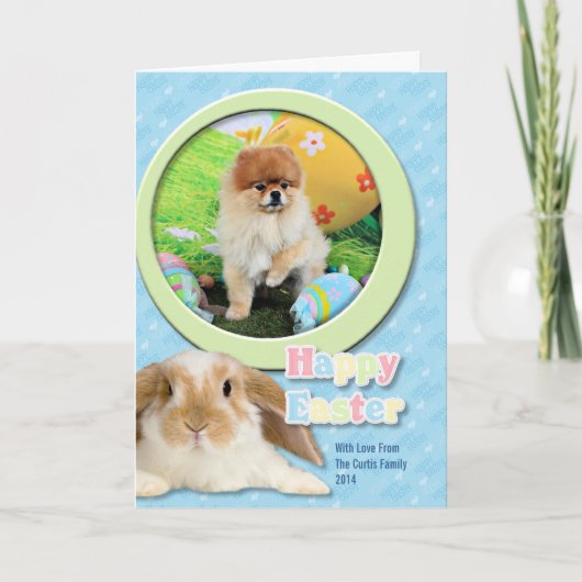 Cartes Pour Fêtes Annuelles Pâques - Pomeranian - Dexter (Devant)