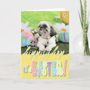 Cartes Pour Fêtes Annuelles Pâques - Shih Tzu - Sophie