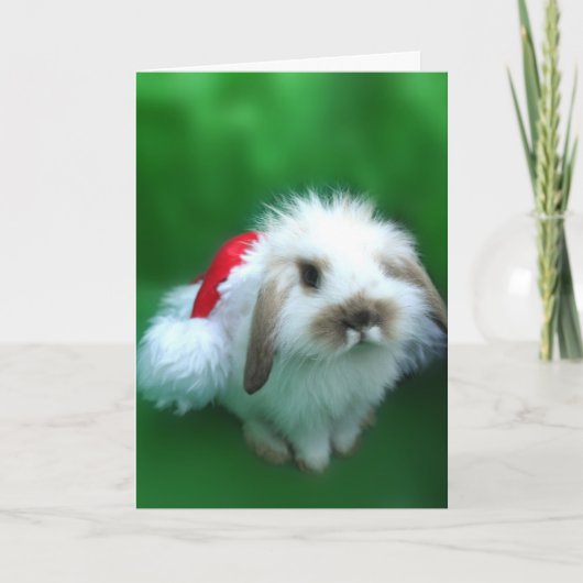 Cartes Pour Fêtes Annuelles Pâques, Umm, lapin de Noël (Devant)