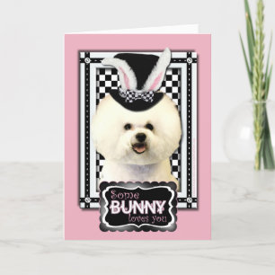 Cartes Pour Fêtes Annuelles Pâques - un certain lapin vous aime - Bichon Frise