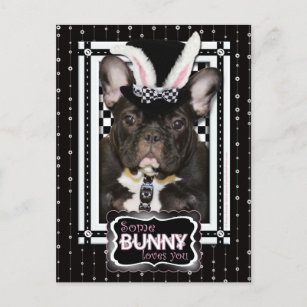 Cartes Pour Fêtes Annuelles Pâques - un certain lapin vous aime - bouledogue