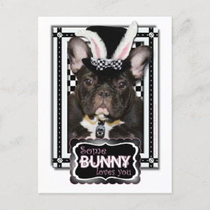 Cartes Pour Fêtes Annuelles Pâques - un certain lapin vous aime - bouledogue