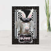 Cartes Pour Fêtes Annuelles Pâques - un certain lapin vous aime - Weimaraner (Devant)