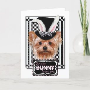 Cartes Pour Fêtes Annuelles Pâques - un certain lapin vous aime - Yorkie