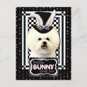 Cartes Pour Fêtes Annuelles Pâques - Un Lapin Vous Aime - Bichon Frise