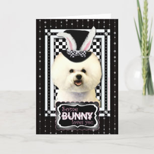 Cartes Pour Fêtes Annuelles Pâques - Un Lapin Vous Aime - Bichon Frise