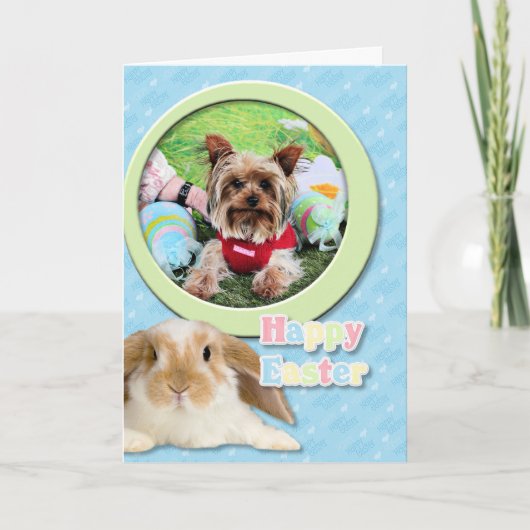 Cartes Pour Fêtes Annuelles Pâques - Yorkshire Terrier - Sassy (Devant)