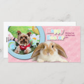 Cartes Pour Fêtes Annuelles Pâques - Yorkshire Terrier - Sassy (Devant / Derrière)