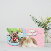 Cartes Pour Fêtes Annuelles Pâques - Yorkshire Terrier - Sassy (Debout devant)