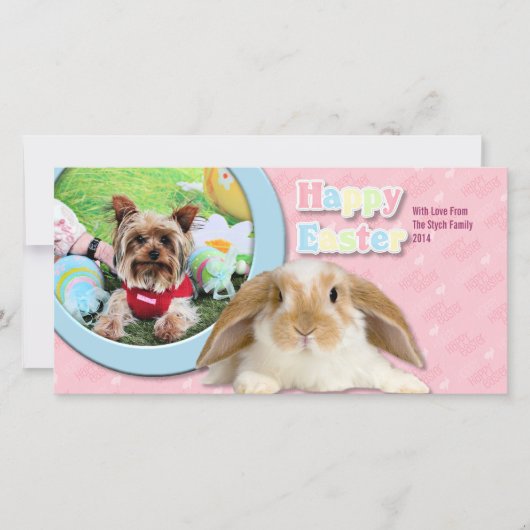 Cartes Pour Fêtes Annuelles Pâques - Yorkshire Terrier - Sassy (Devant)