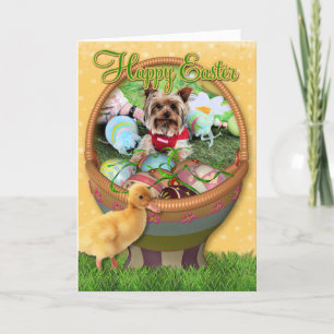 Cartes Pour Fêtes Annuelles Pâques - Yorkshire Terrier - Sassy