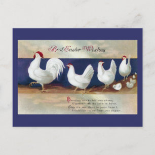 Cartes Pour Fêtes Annuelles Parade de Pâques au poulet blanc