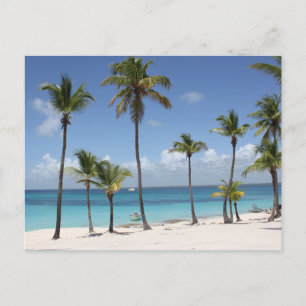 Cartes Pour Fêtes Annuelles Paradis d'été