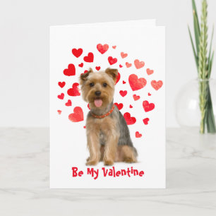 Cartes Pour Fêtes Annuelles Parce que je t'aime, Yorkie Dog Valentine