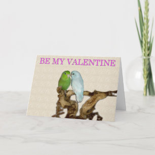 Cartes Pour Fêtes Annuelles Parrotlet Valentine