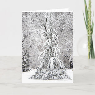 Cartes Pour Fêtes Annuelles -Pas De Flammes De Neige Chute Au Mauvais Endroit.