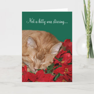 Cartes Pour Fêtes Annuelles Pas un chaton ne remuait...