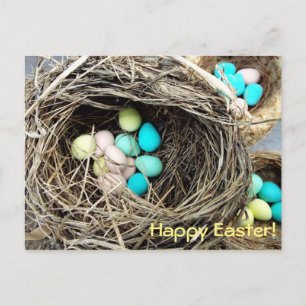 Cartes Pour Fêtes Annuelles Pastel Easter eggs in real bird's nest photograph