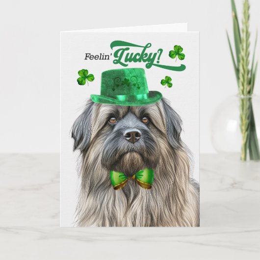 Cartes Pour Fêtes Annuelles Pasteur Pyrénéen Lucky St Patrick's Day (Devant)