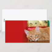 Cartes Pour Fêtes Annuelles Patience de Noël (Devant / Derrière)