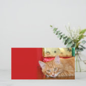 Cartes Pour Fêtes Annuelles Patience de Noël (Debout devant)