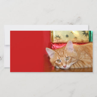 Cartes Pour Fêtes Annuelles Patience de Noël
