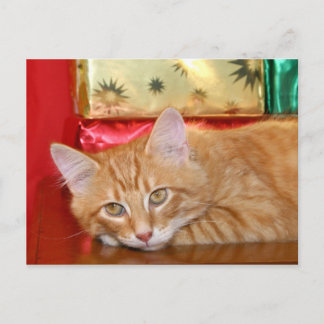 Cartes Pour Fêtes Annuelles Patience de Noël