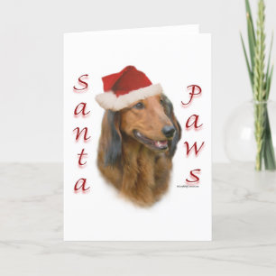 Cartes Pour Fêtes Annuelles Pattes de teckel - à cheveux longs