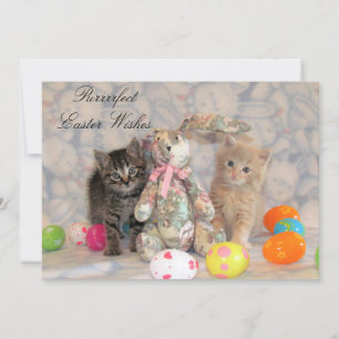 Cartes Pour Fêtes Annuelles Patton & Buffington Pâques Cat