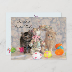 Cartes Pour Fêtes Annuelles Patton & Buffington Pâques Cat