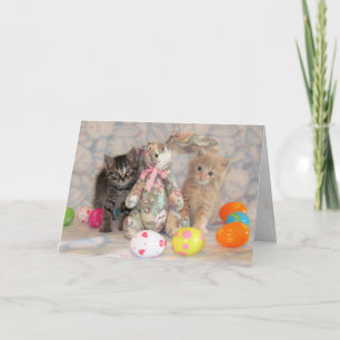 Cartes Pour Fêtes Annuelles Patton & Buffington's Easter Bunny - Chat / Kitten