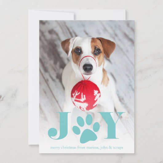 Cartes Pour Fêtes Annuelles Paws | Pet Photo Holiday Card (Devant)