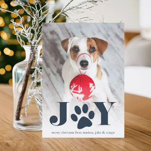 Cartes Pour Fêtes Annuelles Paws Pet Photo Holiday Card